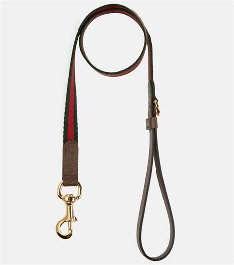 hundeleine gucci